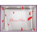 Kit de Stickers Douceur Dhiver- plumes-noel-vitrine-fetes-devanture-boutique-lettrage adhesif-autocollant geant