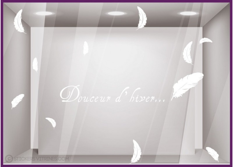 Kit de Stickers Douceur Dhiver- plumes-noel-vitrine-fetes-devanture-boutique-lettrage adhesif-autocollant geant