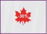 Sticker Promotion Feuille -30%