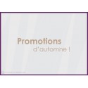 Sticker Promotions d&#039;Automne devanture idee decoration commerce boutique adhesif 