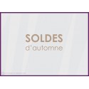 Sticker Soldes d&#039;Automne commerce boutqiue vitrophanie idee decoration