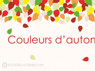 Décorez vos vitrines pour la rentrée !